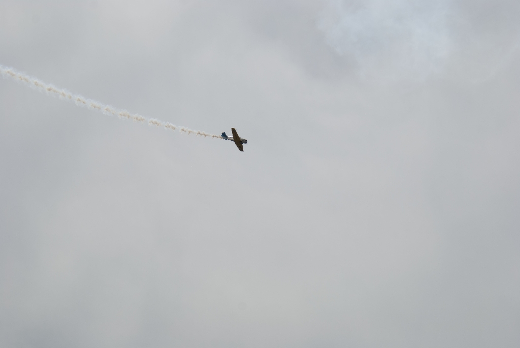 DSC_3005.jpg